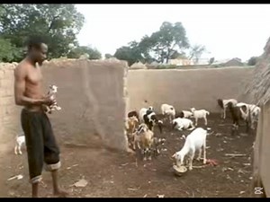 14K reactions · 258 shares | #humour #BurkinaFaso #Ouagadougou #Bobodioulasso #frontiererouge Tarbarka aussi n'est pas facile  | Hmz Bambore | Facebook