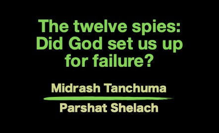 The Blogs: Did God set us up for failure? – Midrash on Shelach – the 12 spies