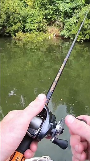 AWESOME Fish Catch!!! #Shorts