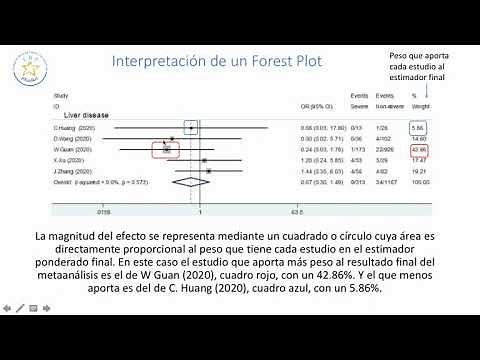 Interpretacion FOREST PLOT