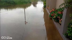 CHUVAS INTENSAS CAUSAM ESTRAGOS E CONDICIONAM MOBILIDADE EM MAPUTO E MATOLA As chuvas que fustigam as cidades de Maputo e Matola desde a passada sexta-feira revivam velhos problemas. O impacto da queda é visível em bairros como Matlemele, Matola-Gare, Nkobe, Nwamatibjana, Liberdade, Hulene, onde as infraestruturas locais e as habitações sofrem os efeitos da saturação do solo e das deficiências no escoamento. Imagens enviadas à redação da Miramar ilustram a gravidade da situação em pontos estraté