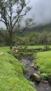 11K views · 189 reactions | Feel the nature <3 | Wonder Discovery | Facebook