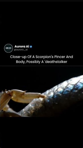 Extreme Close-Up: Scorpion Pincer & Body 🦂✨