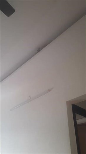 sparrow search for place to built house