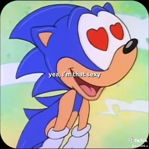 Sonic's Ex Wives: Exploring the Women in Sonic's Life