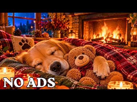 24 HOURS Gentle Calming Music for Dogs 🐶🍂 Anxiety Relief, Deep Comfort & Peaceful Sleep 🎶 No Ads