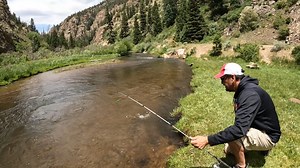 187 reactions · 21 shares | Even when temperatures soar in the Albuquerque area the New Mexico high country awards anglers with tasty rainbow trout in cool water. Find out how to catch them now in this episode of Pautzke Outdoors. | Pautzke Bait Company | Facebook
