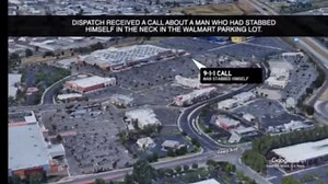 Cops Fatally Shooting Man with Knife and Pellet Gun