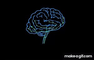 Brain on Make a GIF