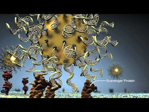 Spherical Nucleic Acids (SNAs)