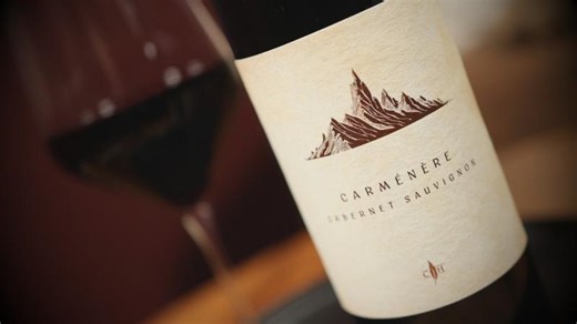 Carménère Cabernet Sauvignon - Cooper s Hawk March 2026 Wine of the Month | Anita Silva Coil