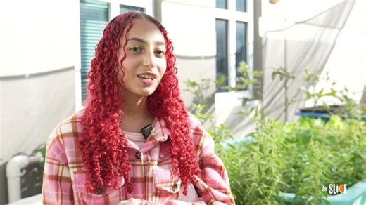 Wekiva High and UCF team up for mangrove sustainability project | Orange County Public Schools