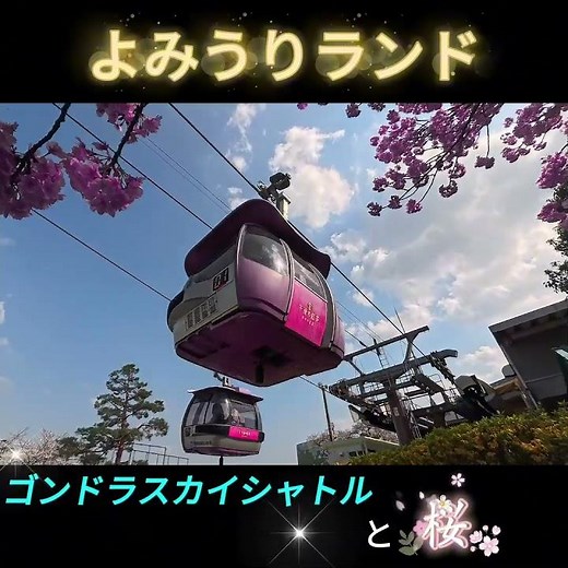 ゴンドラスカイシャトルと桜#shorts #桜 #よみうりランド #空中散歩 #ゴンドラ #絶景