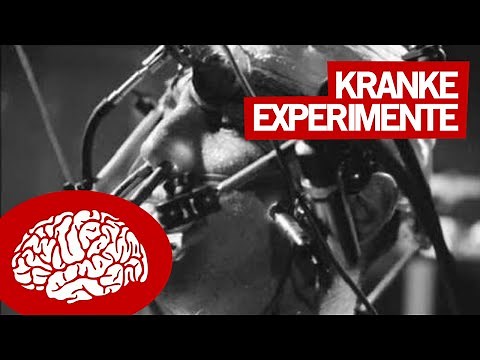 11 KRANKE EXPERIMENTE