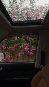 💙 | Ｄｅｅｐ Ｈｅａｒｔ