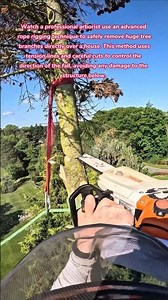 Tension Rope Technique! 🤯 Pro Tree Cutting Over a House (Arborist Safety Rigging) #tree #trees #how