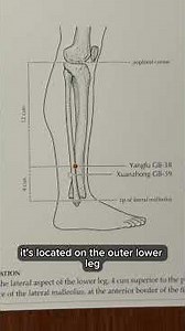 Feeling indecisive? 5 AcuPoints on the Gallbladder Meridian for better decision making skills.