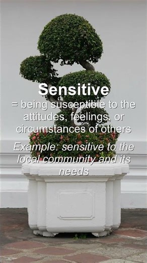 Word of the Day: Sensitive #Shorts