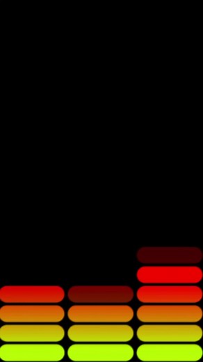 Beautiful Accordion Performance with Floral Motifs