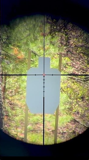 $60 MPVO New Triton Ronin 3-9 Hybrid Optic
