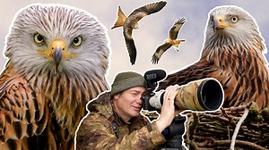 Their nest was full of rubbish 😢 I built a 16m tower to study the secret, lofty lives of red kites 🦅 But when I got up there it was heartbreaking to find the nest full of litter 😷🧤📜 | Robert E Fuller