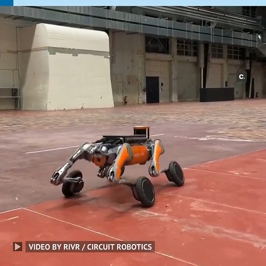 3.6K views · 111 reactions | Through the combination of artificial...