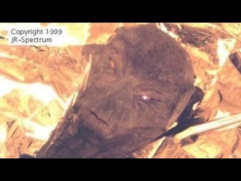 Dr. Jonathan Reed Alien Encounter (1996) Footage (full length)