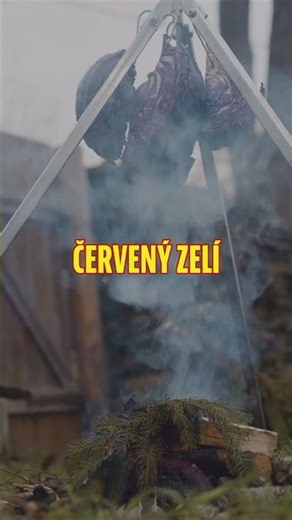 Jaká svatomartinská husa bude nejlepší?!?