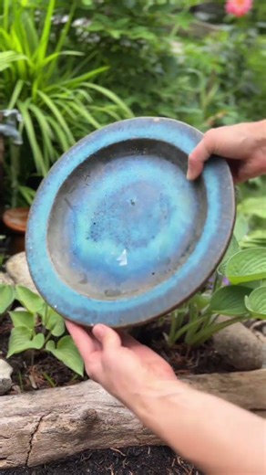 How to Make a Bee Puddler (Help Pollinators in Your Garden)