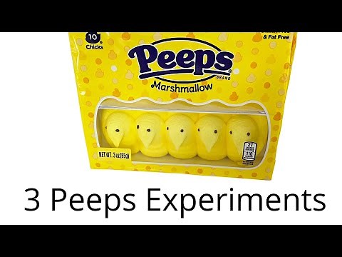 Peeps Sink or Float? The Surprising Results!