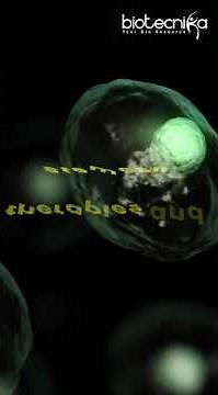 Top 10 Cell Biology Research Trends