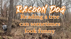 Sometimes the best way to read a tree is get on it like a racoon dog, but at the same time, reading to many trees come sometimes make you lose your mind. I have a lot of fun and enjoy what I do. Make the most of everyday | Boys In The Woods