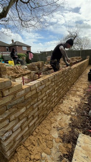 Worlds fastest ever Bricklayer lays over 1000 bricks in an hour 🧱🧱🧱#bricklayer