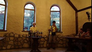 Дегустация крымских вин часть 1