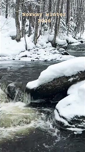 Unforgettable Norway Winter Wonderland 2026 #snow #norway
