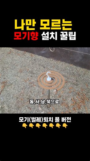 나만 모르는 모기향 설치 방법!! 초보 캠퍼를 위한 여름 캠핑 꿀팁