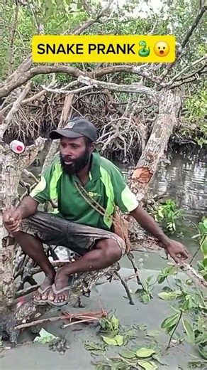 Snake prank- PNG funny video