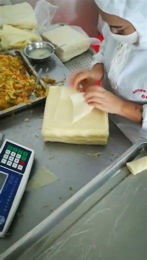 【WYLFOODS】Frozen spring rolls