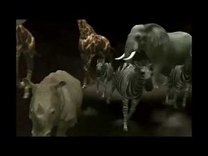 zoo escape animation fx