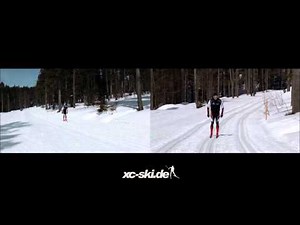 Skilanglauf Technik: Klassik Doppelstock