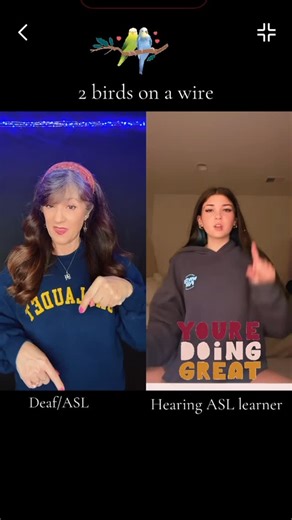Deaf Warrior (ASLSuzyQ) on Instagram: "Two Birds on a Wire- ASL COVER SONG (SHORT) #duet #asl #signlanguage #ASL #deaf Description: Hey it’s me, Suzy! Im a white woman. I have long, dark hair & brown eyes. I’m wearing navy Gallaudet sweatshirt at left side. At the right is ASL student young lady with shoulder length dark hair"