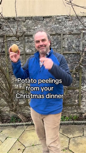 Potato peelings from your Christmas dinner can be made into a potent plant feed. So don’t throw away your potato peelings. Instead put them in a bowl or jar and cover them with water. Leave for a few days, strain the liquid and use it to water your plants. Liquid potato peeling plant feed contained lots of essential plant nutrients including potassium, phosphorus and magnesium. These will boost your plants health and keep them growing. You can use this plant feed on indoor or outdoor plants alth