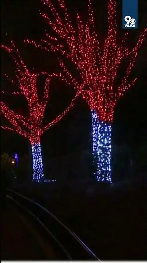 Zoo Lights return to National Zoo