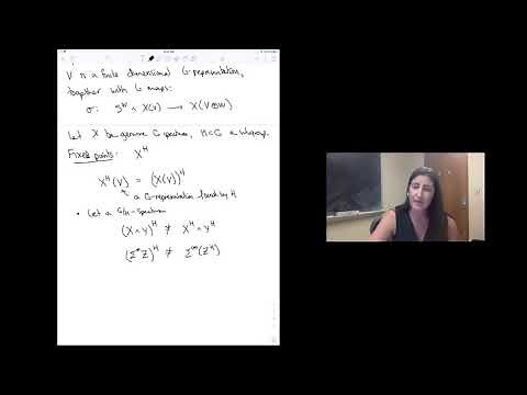 Teena Gerhardt - 2/3 Algebraic K-theory and Trace Methods
