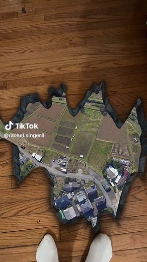 Rachel Singer on TikTok