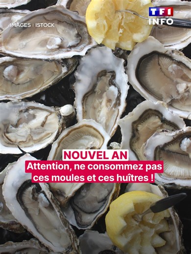 Interdiction des huîtres de l'étang de Thau pour le Nouvel An