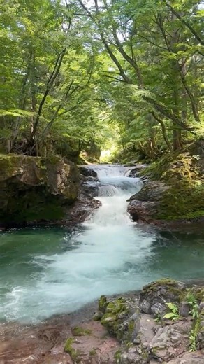 #shorts Tonobuchi & Fushin Falls #shortvideo #shortsfeed