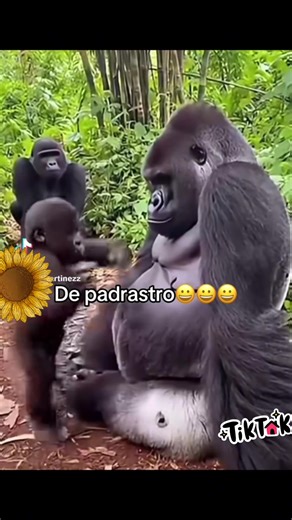 Juanito 🫩 (@juanmiranda2951)’s videos with [Raw recording] Record playback noise 01 (3 minutes) - Icy Light