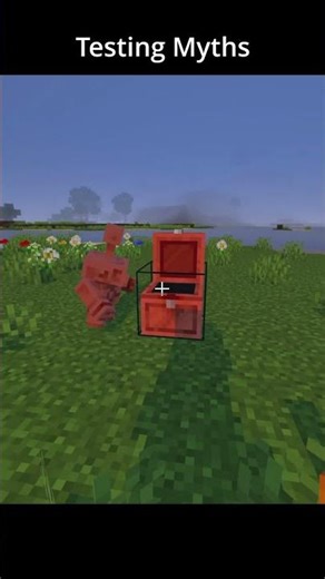 Can a Copper Golem use a Totem? #othersquid