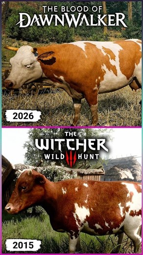 The Blood of Dawnwalker vs The Witcher 3 - Textures Comparison